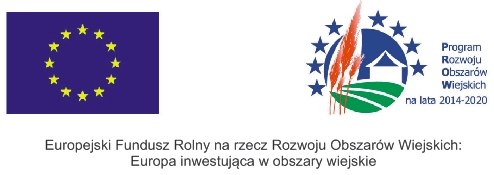 Logo UE oraz PROW